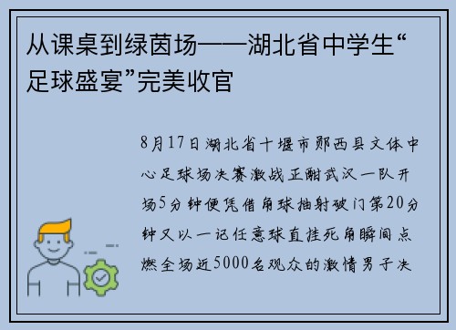 从课桌到绿茵场——湖北省中学生“足球盛宴”完美收官